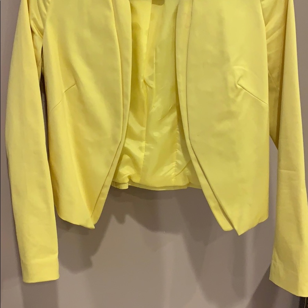 Yellow jacket - Picture 2 of 3